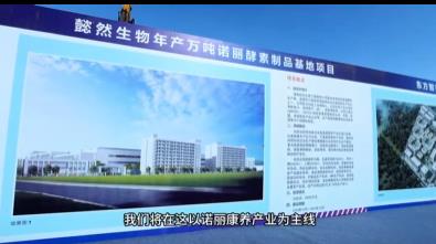文章附图
